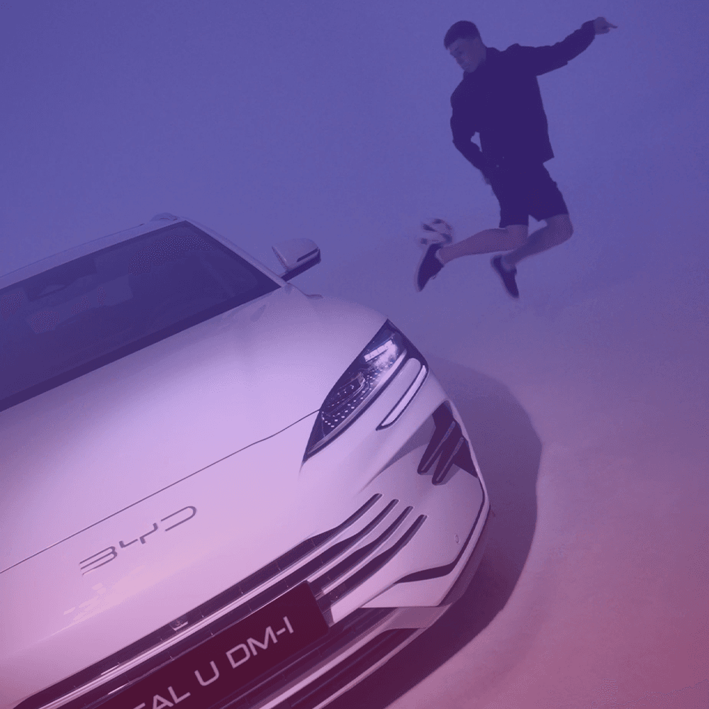 BYD License Plates